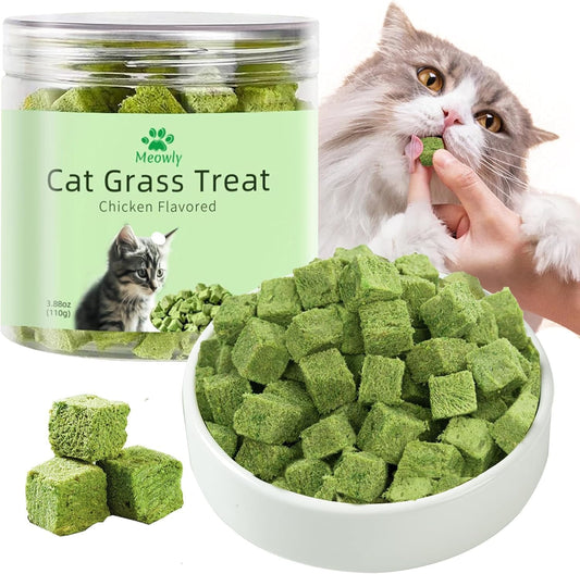 110G Cat Grass Treats for Cat, Cat Grass Cube, Natural Dried Cat Grass Teething Stick Snacks for Cats, Edible Cat Chew Toys for Teeth Cleaning and Hairball Removal