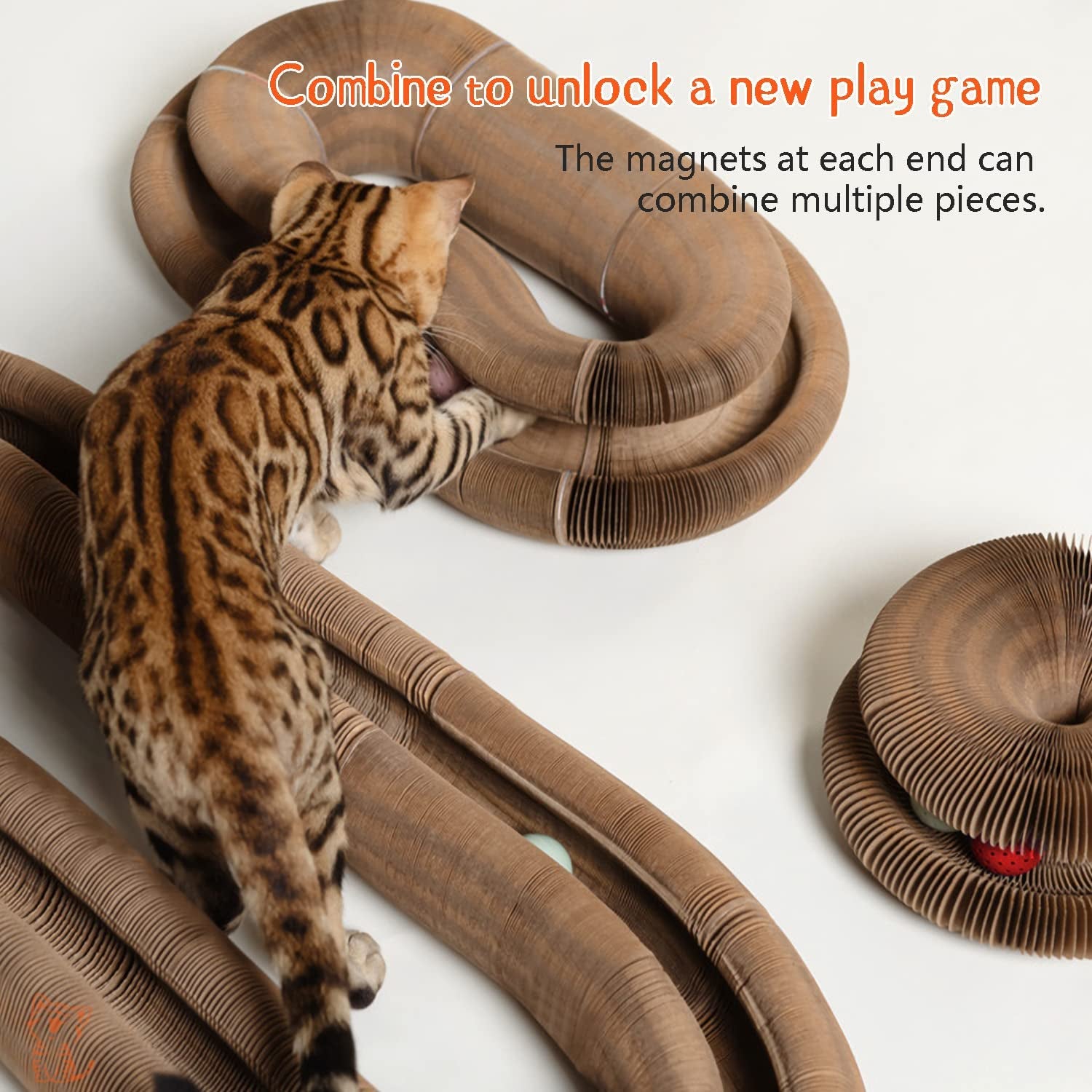 Cat Ball Adventure the Ultimate Interactive Mental & Physical Exercise for Indoor Cats