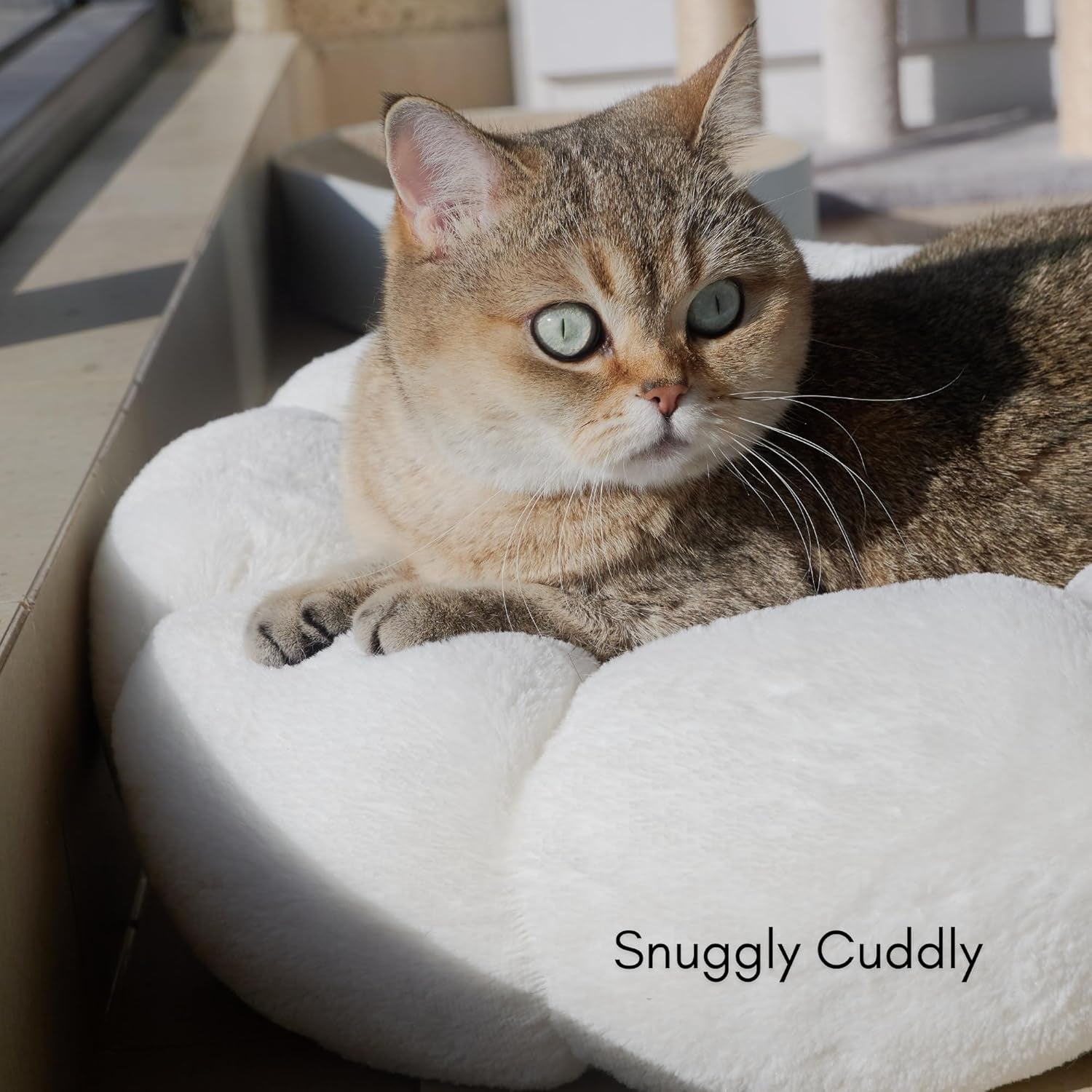 Cat Beds for Indoor Cats, Machine Washable Non-Skid, Fluffy Flower Cat Bed Cute, anti Anxiety Dog Beds for Toy Size Dogs, 20 * 20 Inches, Cream