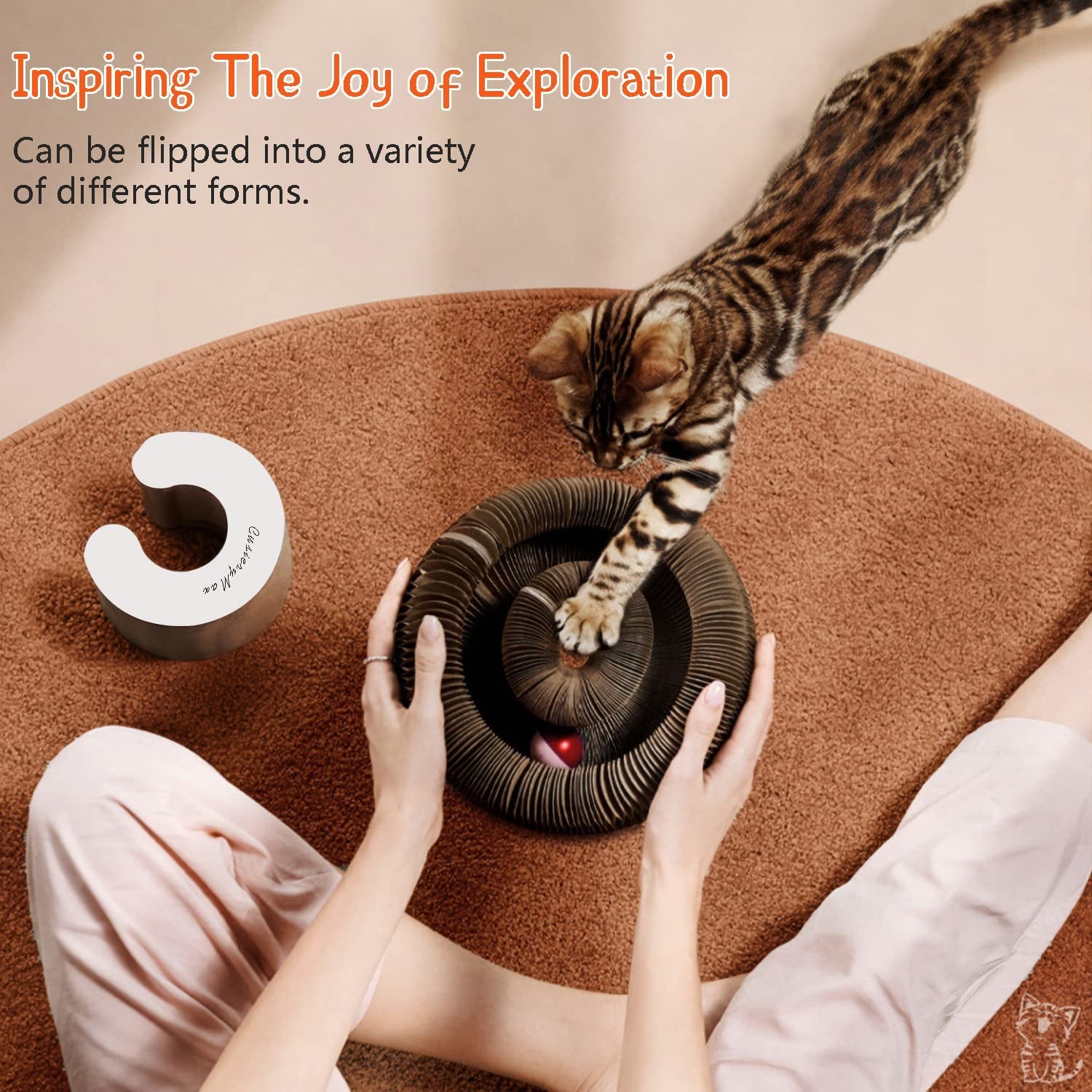 Cat Ball Adventure the Ultimate Interactive Mental & Physical Exercise for Indoor Cats