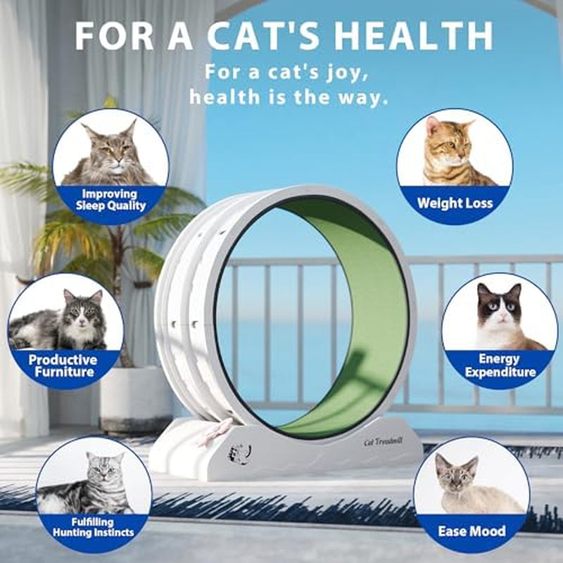 Cat Wheel for Indoor Cats 31.5" Cat Exercise Running Wheel with Locking Mechanism & Removable Carpeted Runway for Cat Weight Loss, Grey