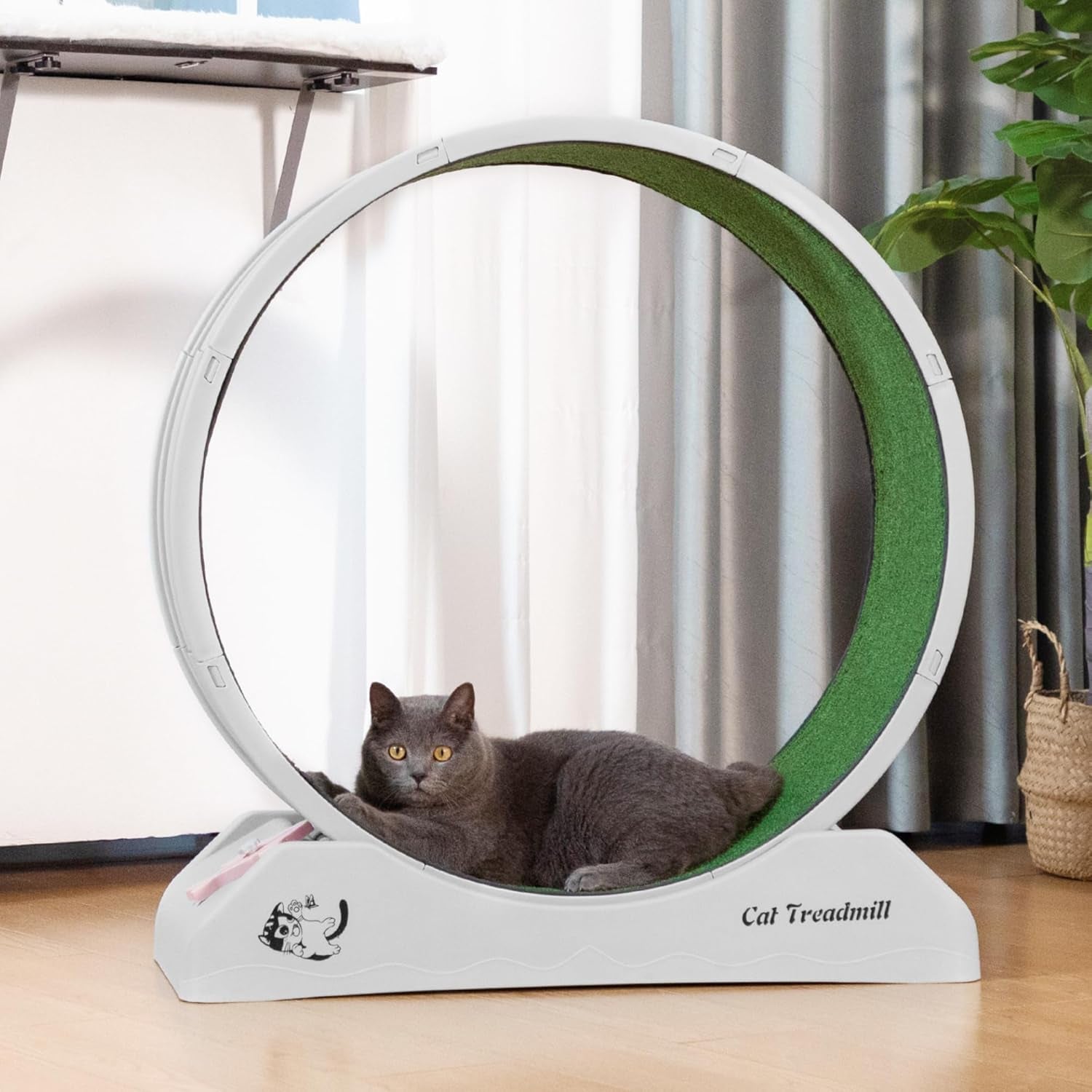 Cat Wheel for Indoor Cats 31.5" Cat Exercise Running Wheel with Locking Mechanism & Removable Carpeted Runway for Cat Weight Loss, Grey