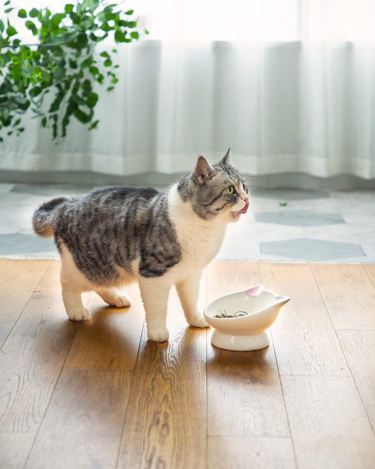 Raised Cat Food Bowl Ceramic 15° Tilted Cat Food Bowls Protect Cat'S Spine anti Vomiting Backflow Prevention Cat Bowls for Adult Cats, Kitten, and Small Dogs, Pink
