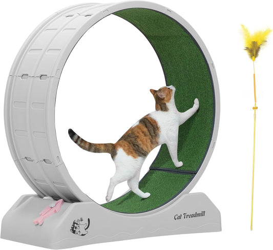 Cat Wheel for Indoor Cats 31.5" Cat Exercise Running Wheel with Locking Mechanism & Removable Carpeted Runway for Cat Weight Loss, Grey
