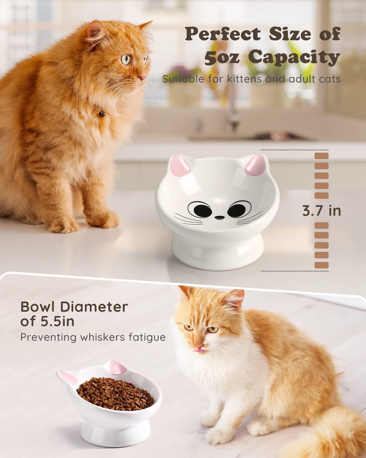 Raised Cat Food Bowl Ceramic 15° Tilted Cat Food Bowls Protect Cat'S Spine anti Vomiting Backflow Prevention Cat Bowls for Adult Cats, Kitten, and Small Dogs, Pink