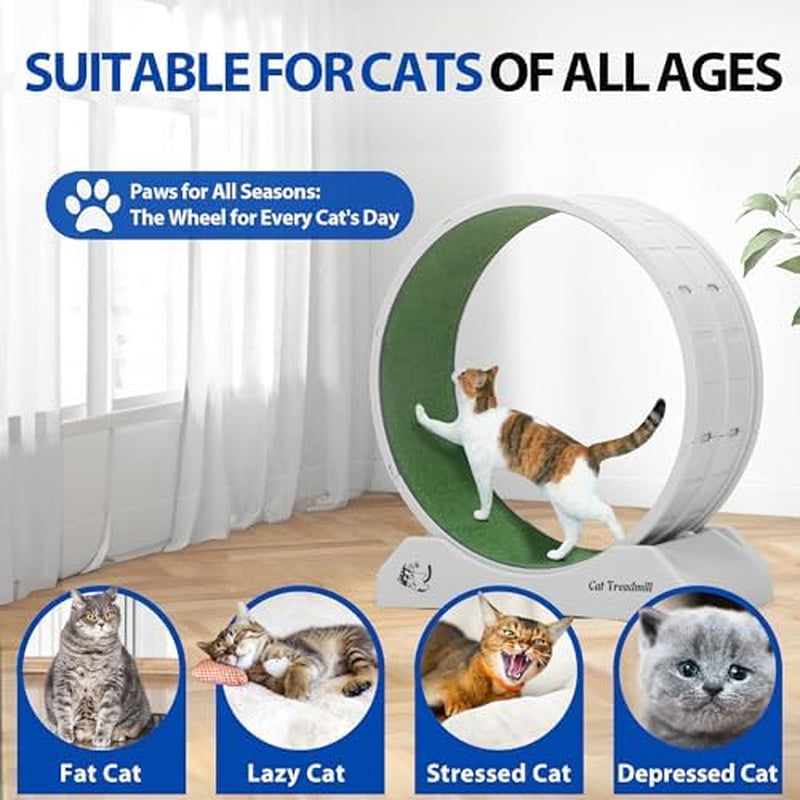 Cat Wheel for Indoor Cats 31.5" Cat Exercise Running Wheel with Locking Mechanism & Removable Carpeted Runway for Cat Weight Loss, Grey