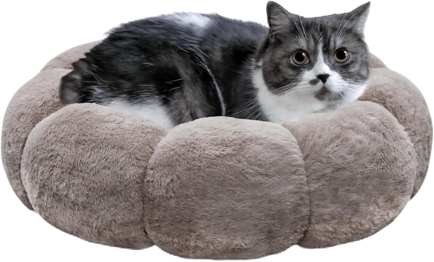 Cat Beds for Indoor Cats, Machine Washable Non-Skid, Fluffy Flower Cat Bed Cute, anti Anxiety Dog Beds for Toy Size Dogs, 20 * 20 Inches, Cream