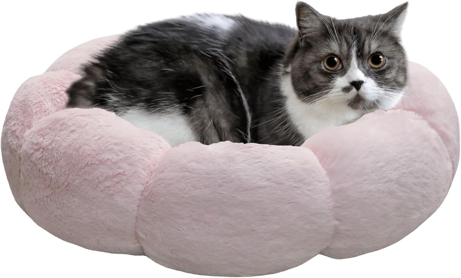 Cat Beds for Indoor Cats, Machine Washable Non-Skid, Fluffy Flower Cat Bed Cute, anti Anxiety Dog Beds for Toy Size Dogs, 20 * 20 Inches, Cream
