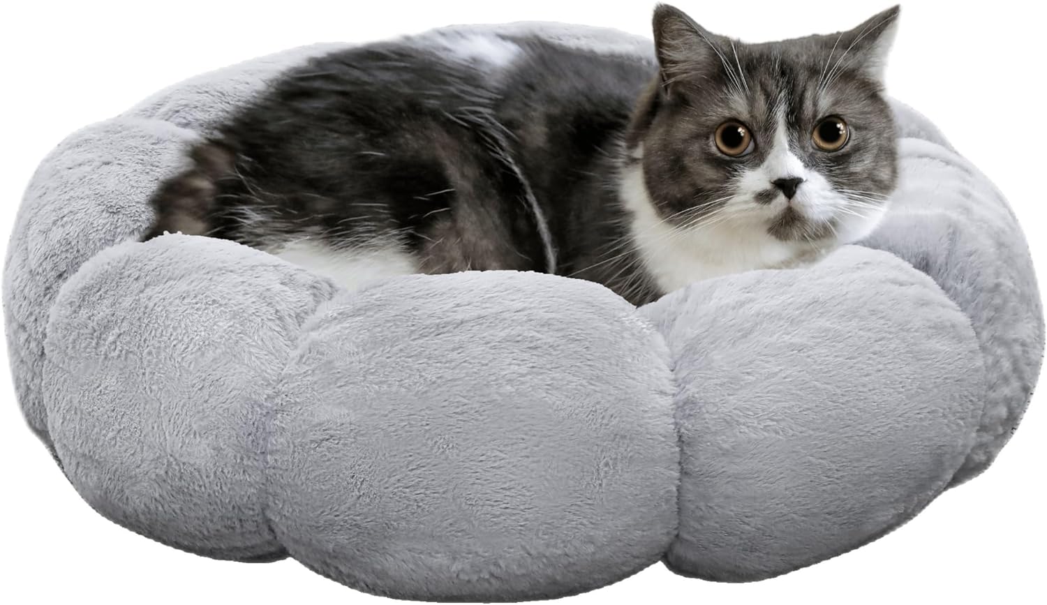 Cat Beds for Indoor Cats, Machine Washable Non-Skid, Fluffy Flower Cat Bed Cute, anti Anxiety Dog Beds for Toy Size Dogs, 20 * 20 Inches, Cream