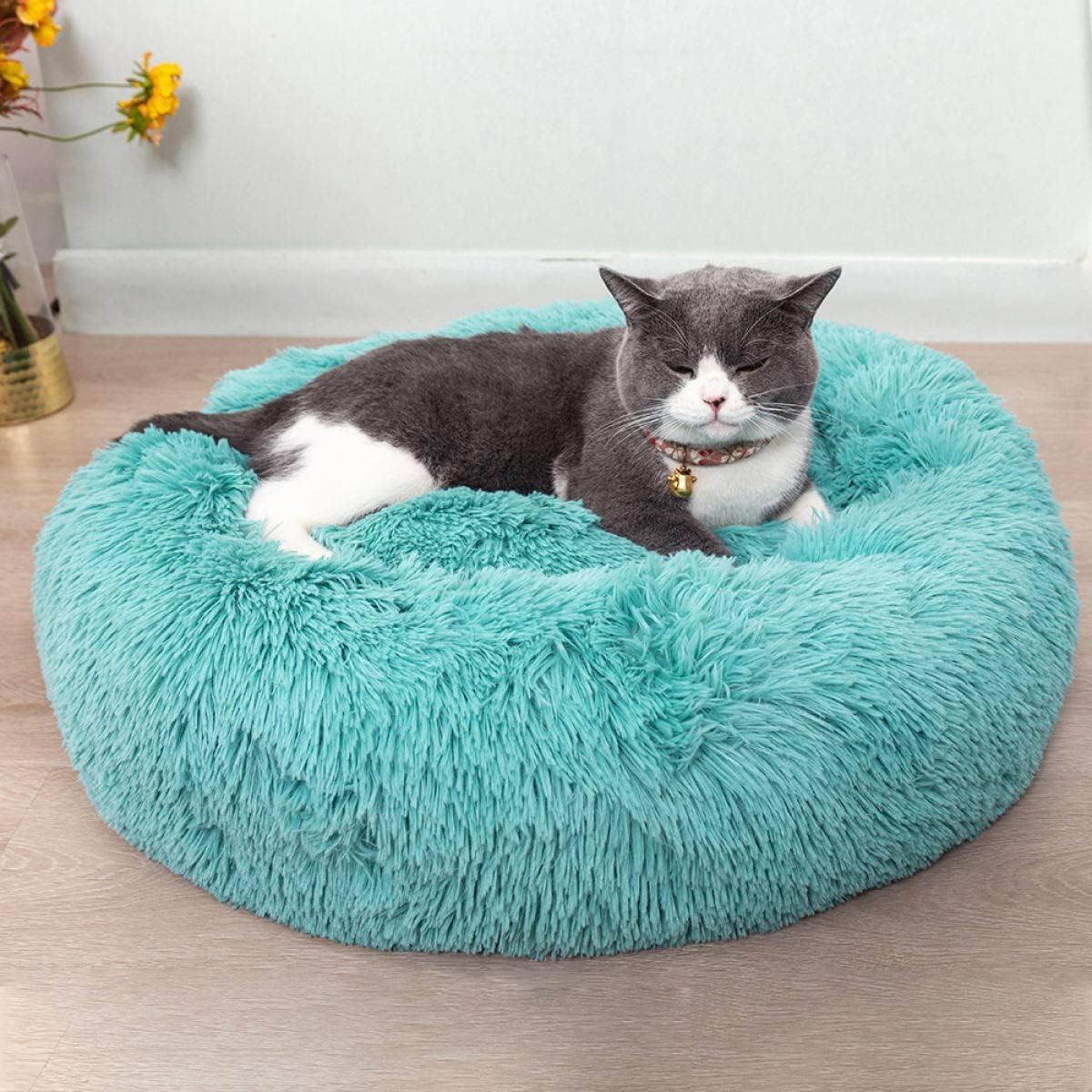 Cat Beds for Indoor Cats - Cat Bed Washable 20/24 Inches, Dog Beds for Small Medium Dogs, anti Anxiety round Fluffy Plush Faux Fur Cat Bed, Thick Bottom (Light Grey, Medium)