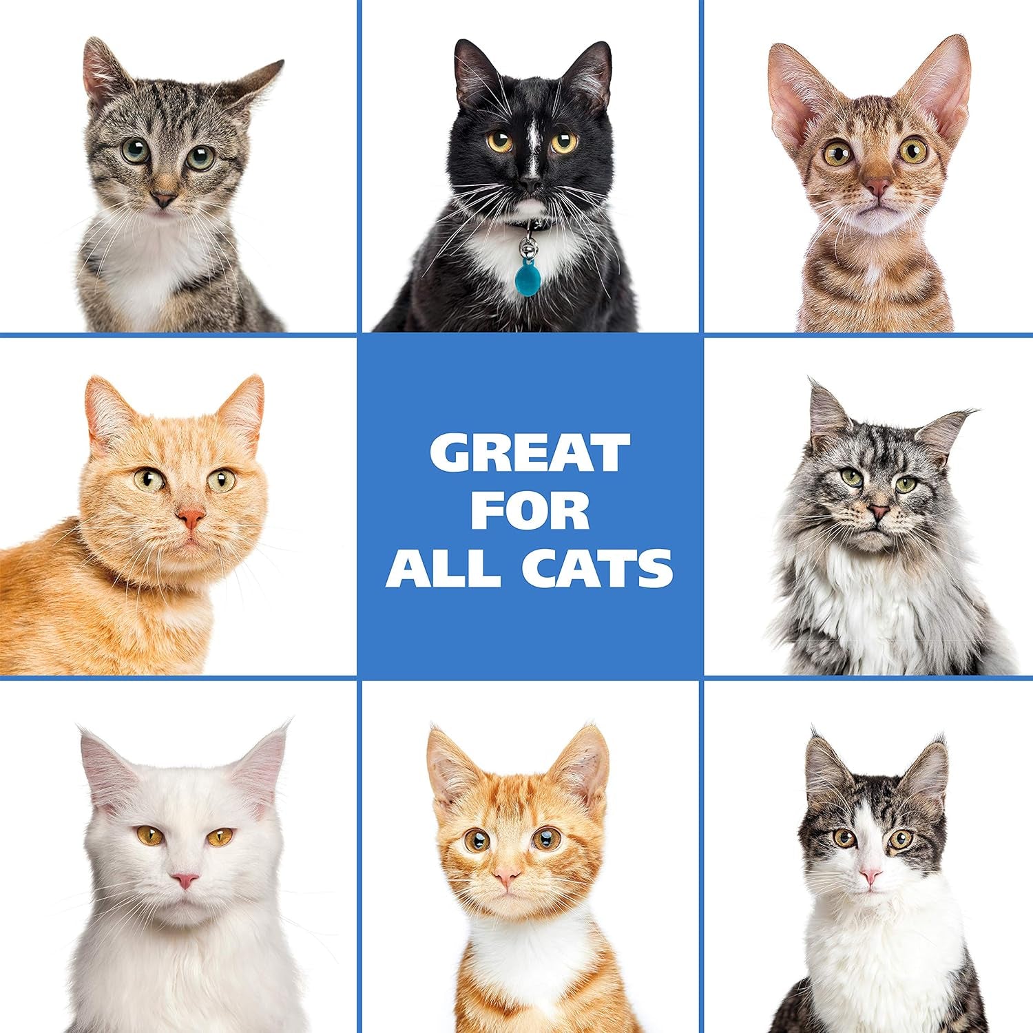 USA Cat Waterless Shampoo for Soothing Damaged Skin, Refreshing, Cleaning, and Removing Odors between Baths - 7.1 Oz - Model 820015-500