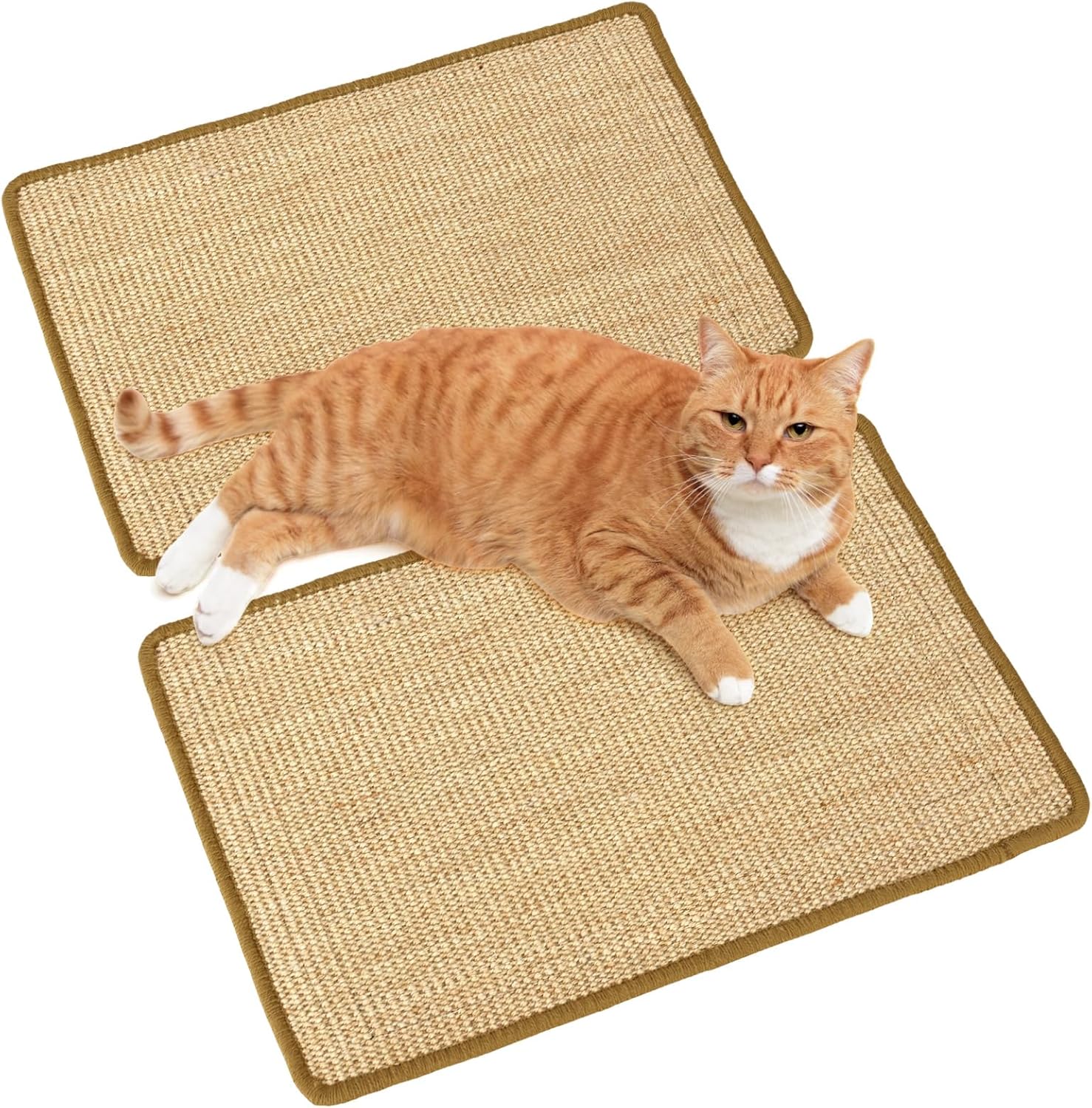 Cat Scratcher Mat, Floor Cat Scratching Mat, Natural Cat Scratch Pad, Pets Scratch Carpet, round Cattail Grass Cat Scratcher Mat, Indoor Cat Scratching Mats, 23.6×23.6 Inch