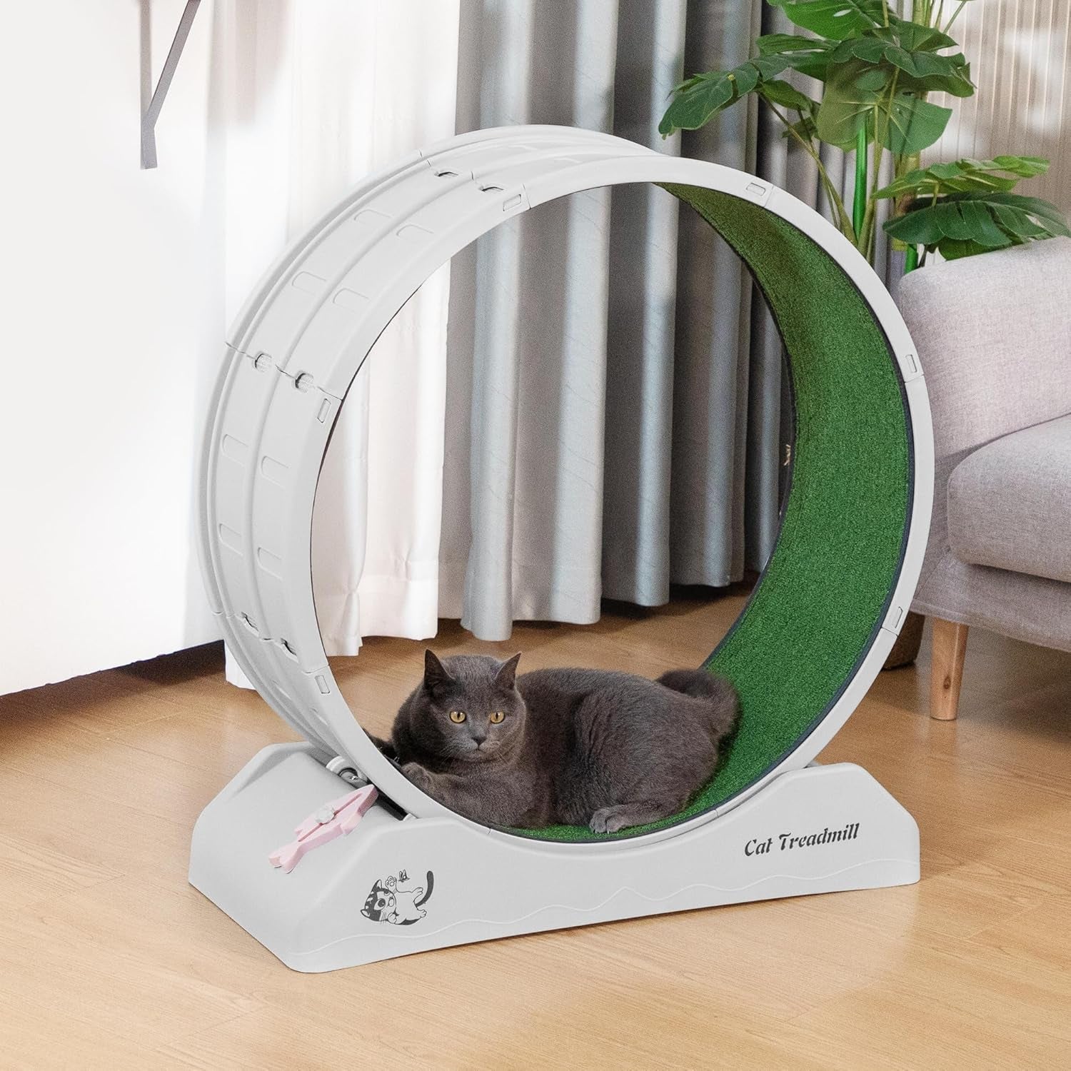 Cat Wheel for Indoor Cats 31.5" Cat Exercise Running Wheel with Locking Mechanism & Removable Carpeted Runway for Cat Weight Loss, Grey