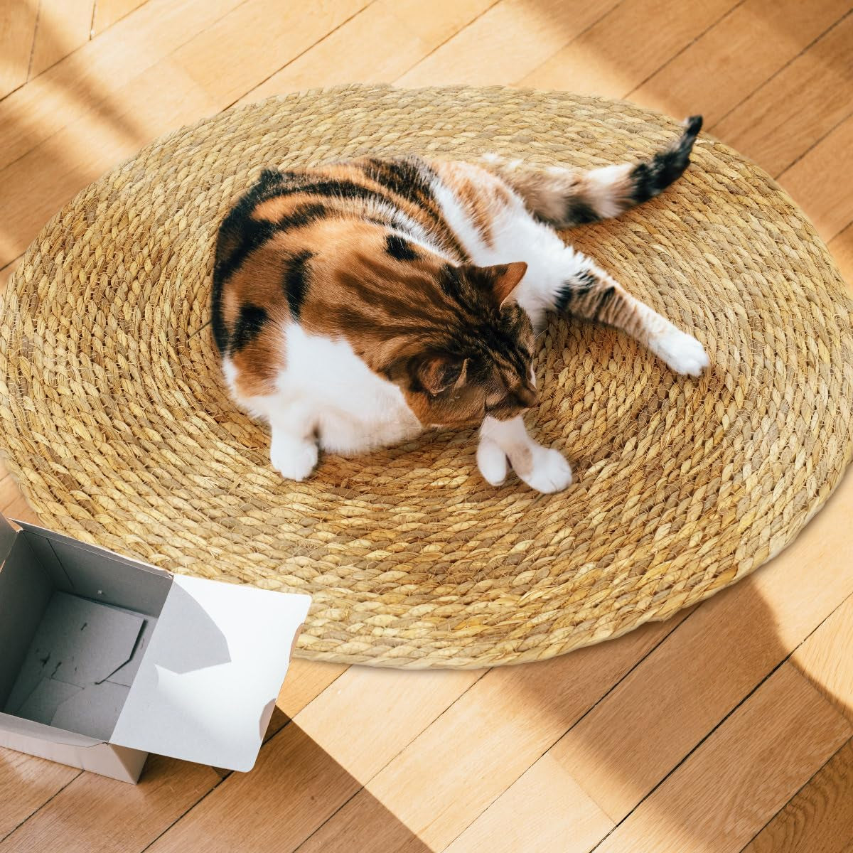 Cat Scratcher Mat, Floor Cat Scratching Mat, Natural Cat Scratch Pad, Pets Scratch Carpet, round Cattail Grass Cat Scratcher Mat, Indoor Cat Scratching Mats, 23.6×23.6 Inch