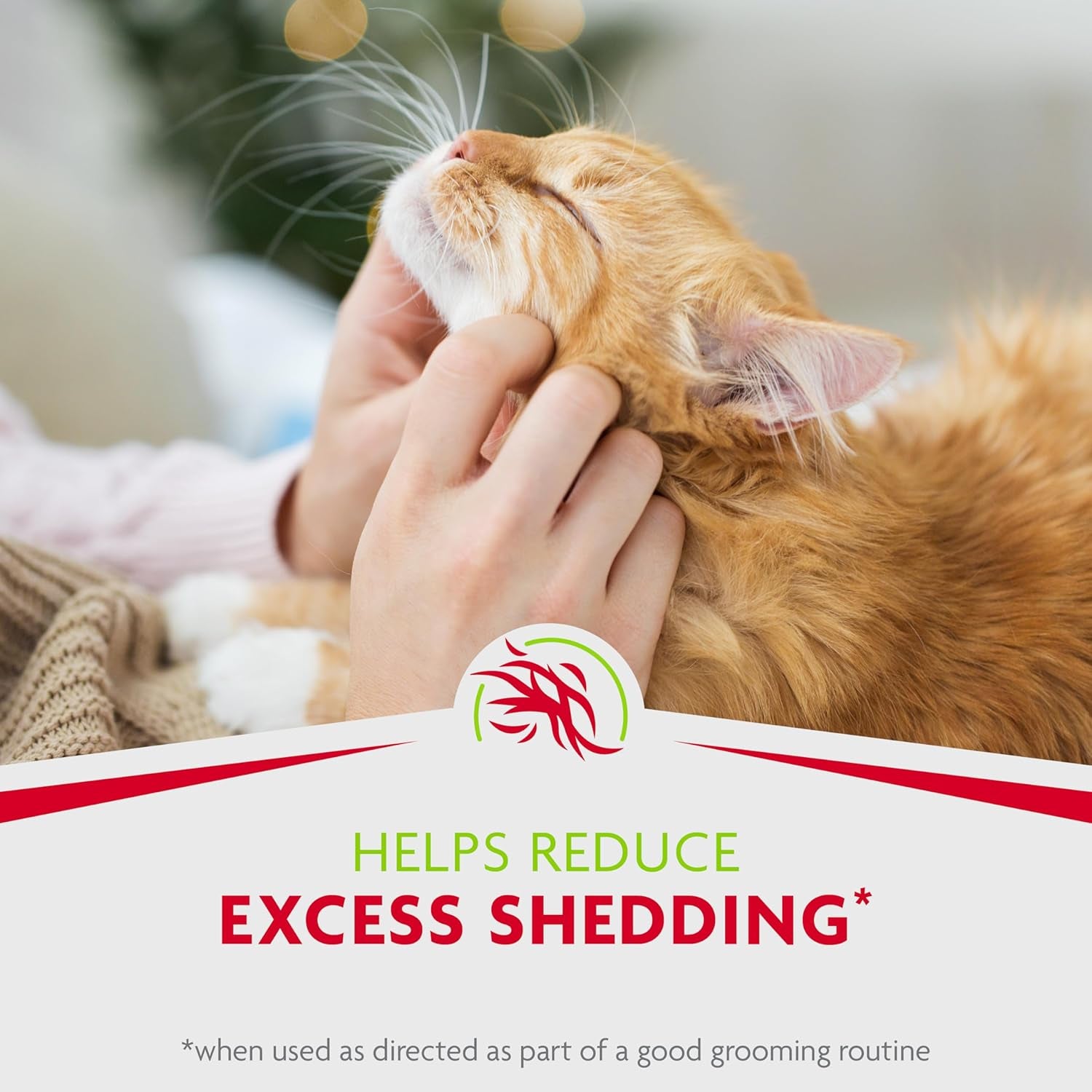 Tub-Free Deshedding Foam Comb, 3 Ounces, Grooming Comb for Cats Helps Freshen Coat and Reduce Odors with No Rinsing