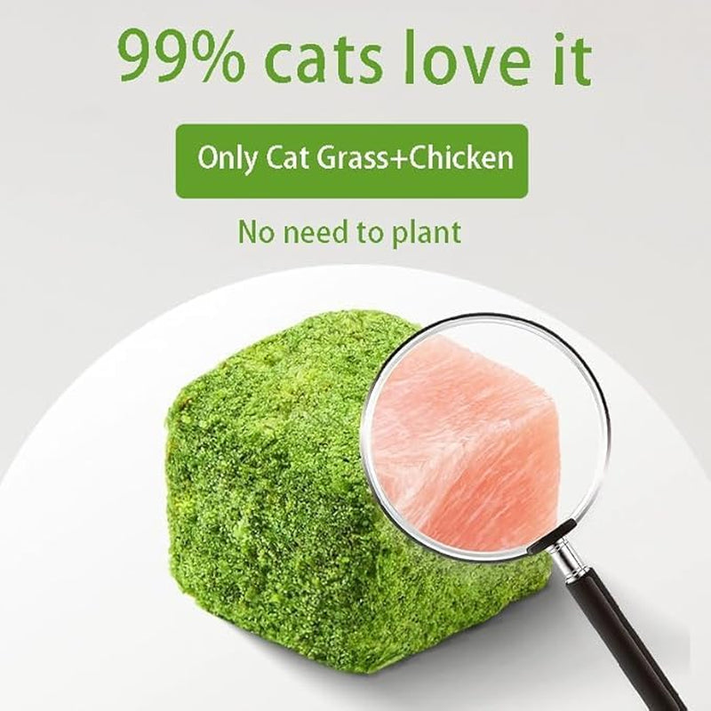 110G Cat Grass Treats for Cat, Cat Grass Cube, Natural Dried Cat Grass Teething Stick Snacks for Cats, Edible Cat Chew Toys for Teeth Cleaning and Hairball Removal