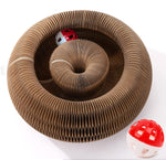 Cat Ball Adventure the Ultimate Interactive Mental & Physical Exercise for Indoor Cats