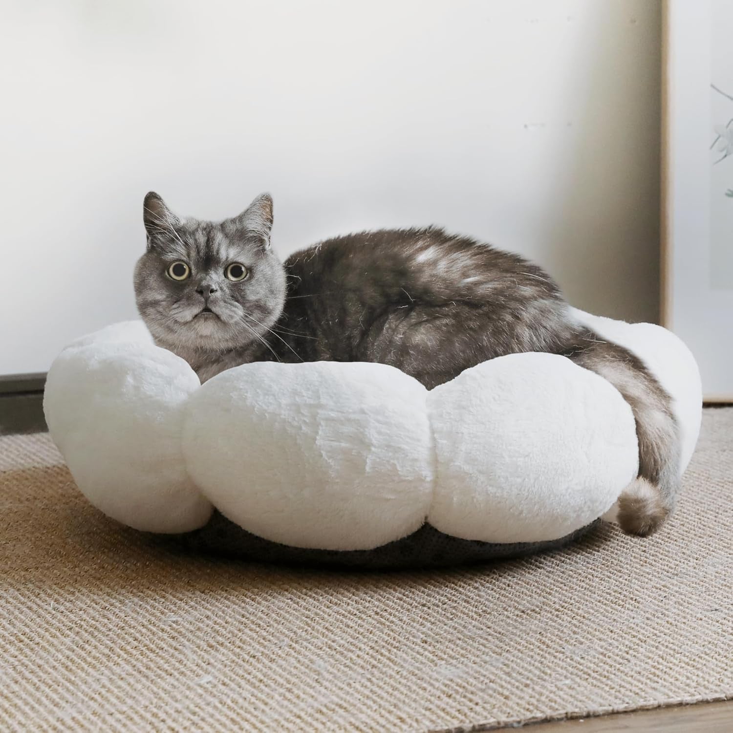 Cat Beds for Indoor Cats, Machine Washable Non-Skid, Fluffy Flower Cat Bed Cute, anti Anxiety Dog Beds for Toy Size Dogs, 20 * 20 Inches, Cream