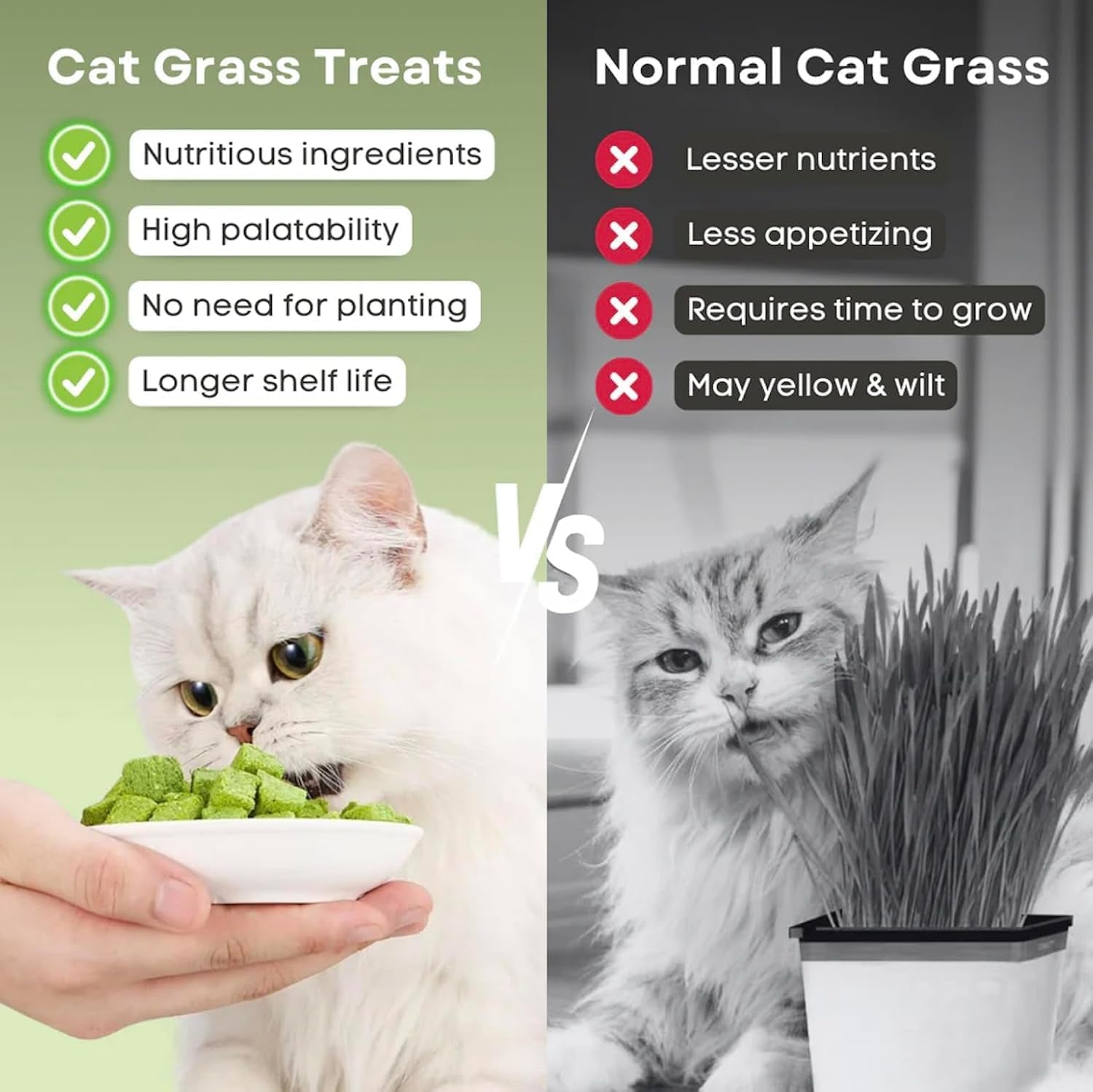 110G Cat Grass Treats for Cat, Cat Grass Cube, Natural Dried Cat Grass Teething Stick Snacks for Cats, Edible Cat Chew Toys for Teeth Cleaning and Hairball Removal